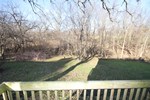 Wooded back yard with lots of room